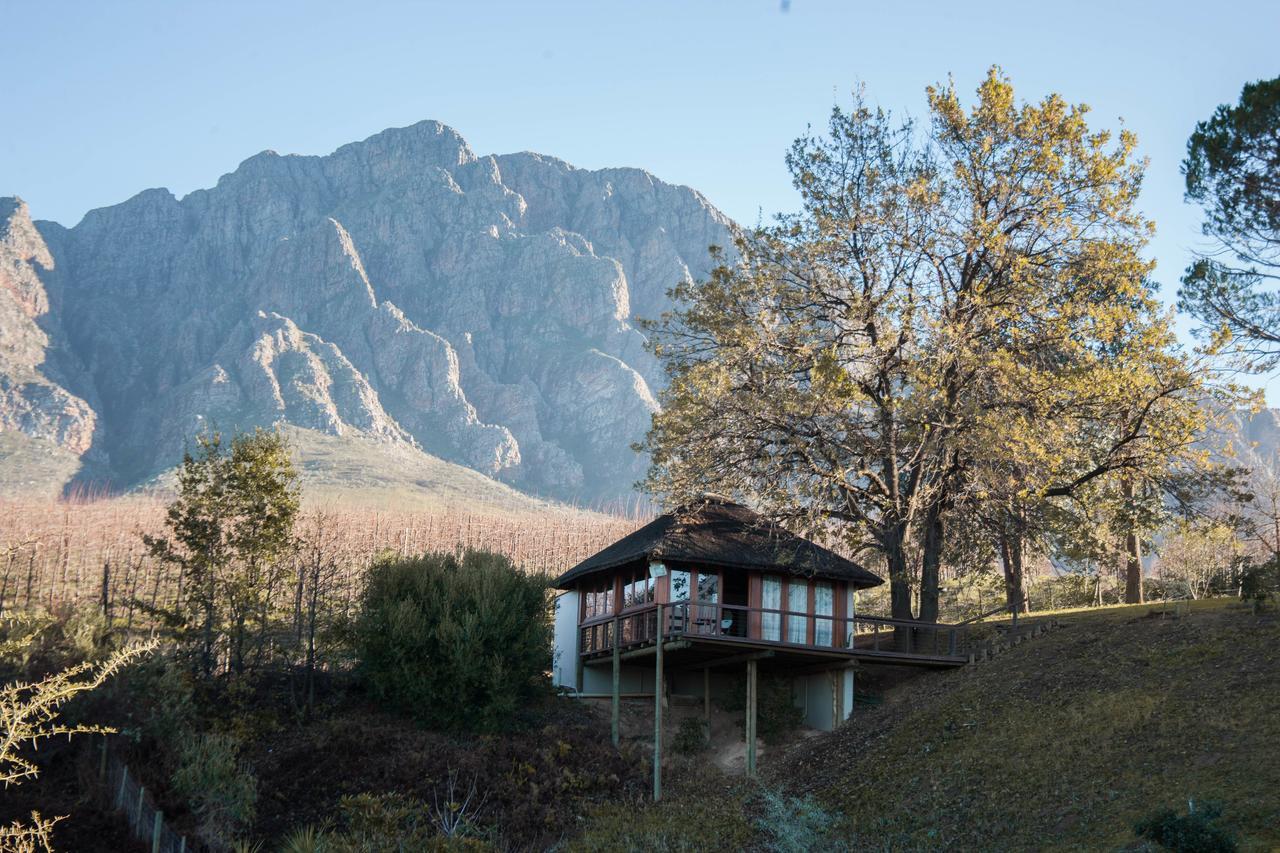 Tulbagh Mountain Manor Guest House Cape Town Ngoại thất bức ảnh