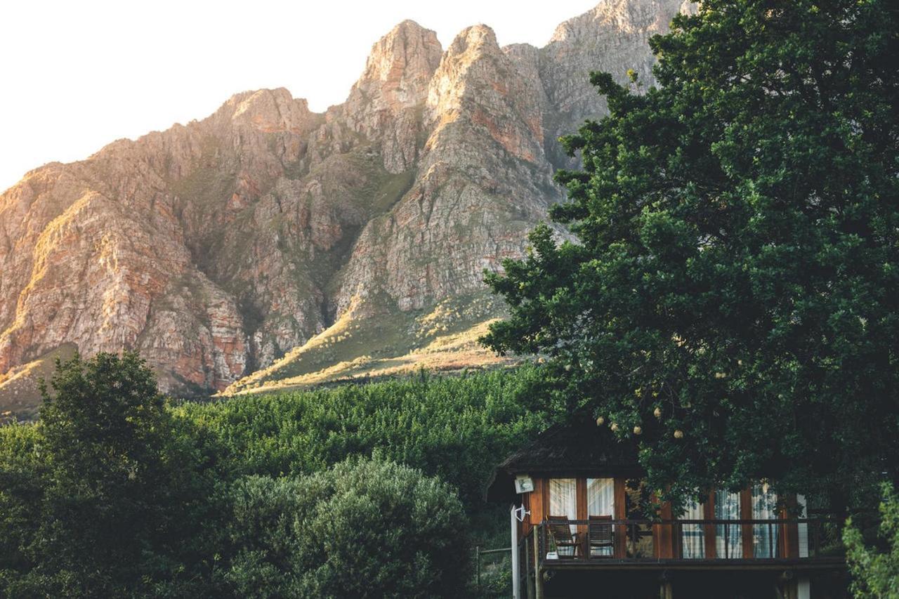 Tulbagh Mountain Manor Guest House Cape Town Ngoại thất bức ảnh